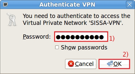 Write your SISSA password.