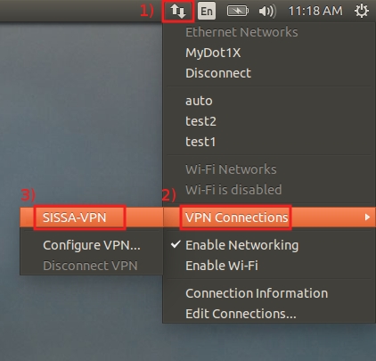 Click on Network then click on VPN Connections and then SISSA-VPN...