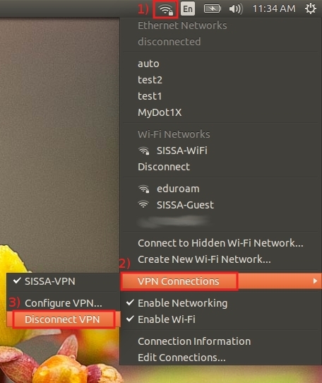 Click on Network then click on VPN Connections and then Disconnect VPN.