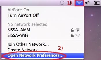 Click on Network then on Open Network Preferences...