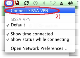 Click on the VPN menu select Connect SISSA VPN...
