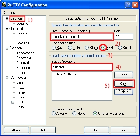 Fill in carefully the Basic options for your Putty session section...