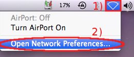 Click on Network then click on Open Network Preferencies...