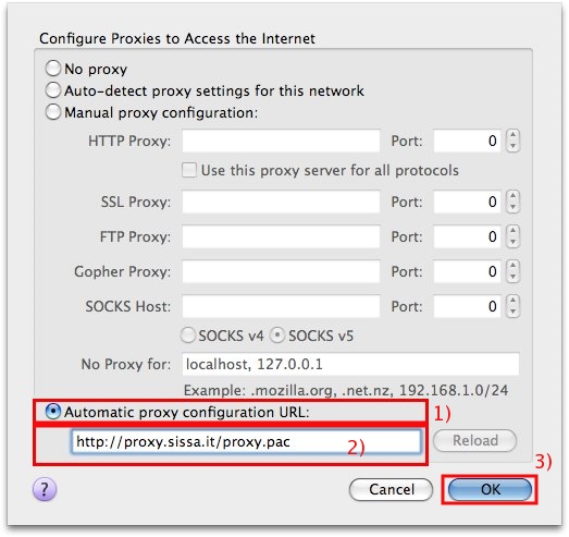 Fill in the Configure Proxies to Access the Internet section carefully...