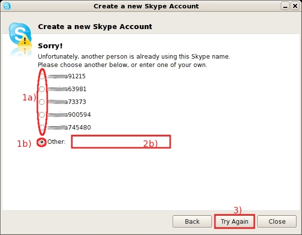 Choose carefully your skype name...
